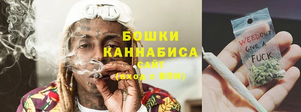 сатива Куйбышев