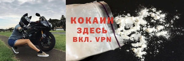 сатива Куйбышев