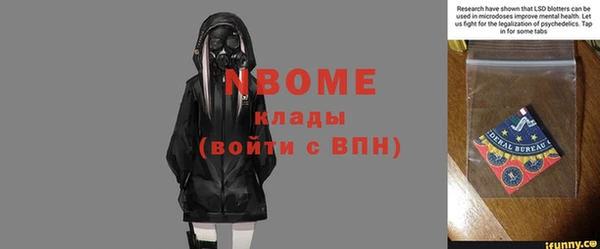 сатива Куйбышев
