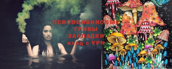сатива Куйбышев