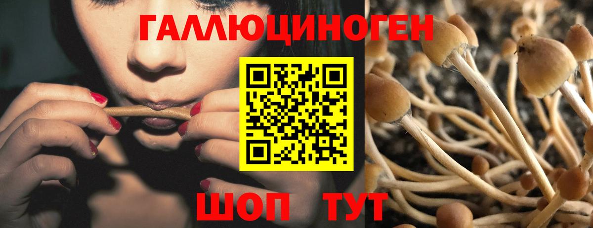 Галлюциногенные грибы ЛСД  Вход с VPN  Майский  Псилоцибиновые грибы MAGIC MUSHROOMS 